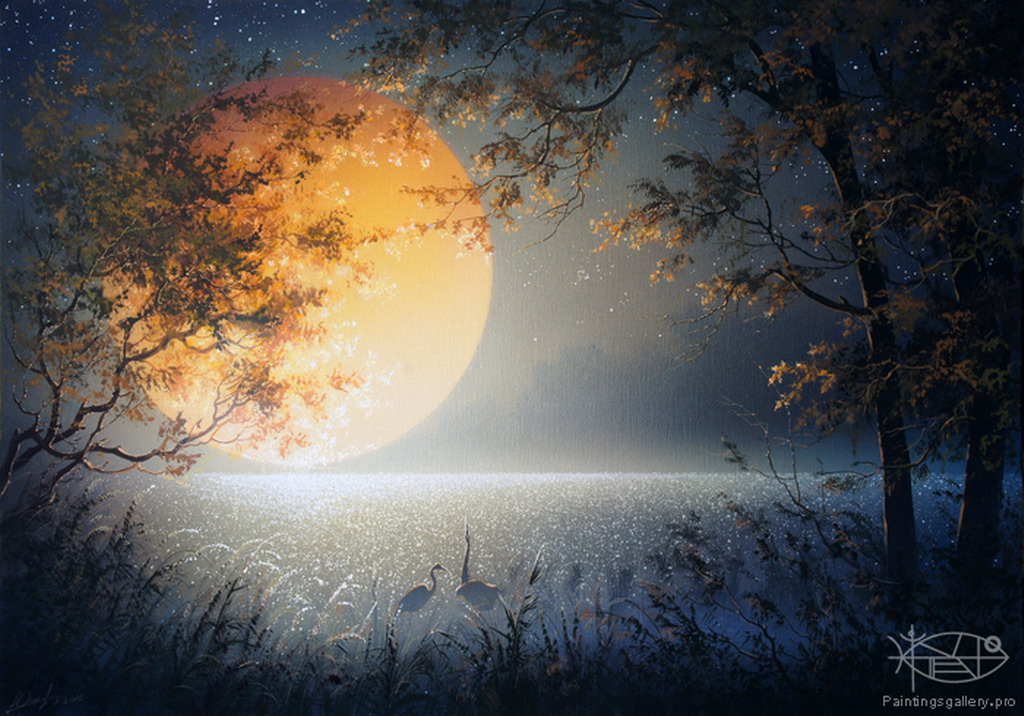 ночной лес. луна зимой. «ночь в лесу». освещена лунным светом. девушка-луна.