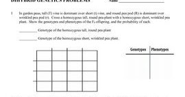 28 Worksheet Dihybrid Crosses Unit 3 Genetics Answers - Notutahituq