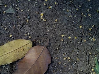 Puisi Patah Hati Salahku Karya Ilham Aji Widayat Puisi Patah Hati Salahku Karya Ilham Aji Widayat
