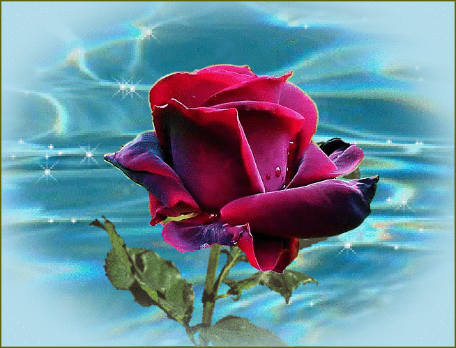 c8a4c459f742bb5b8be4ffa333de2f47.gif