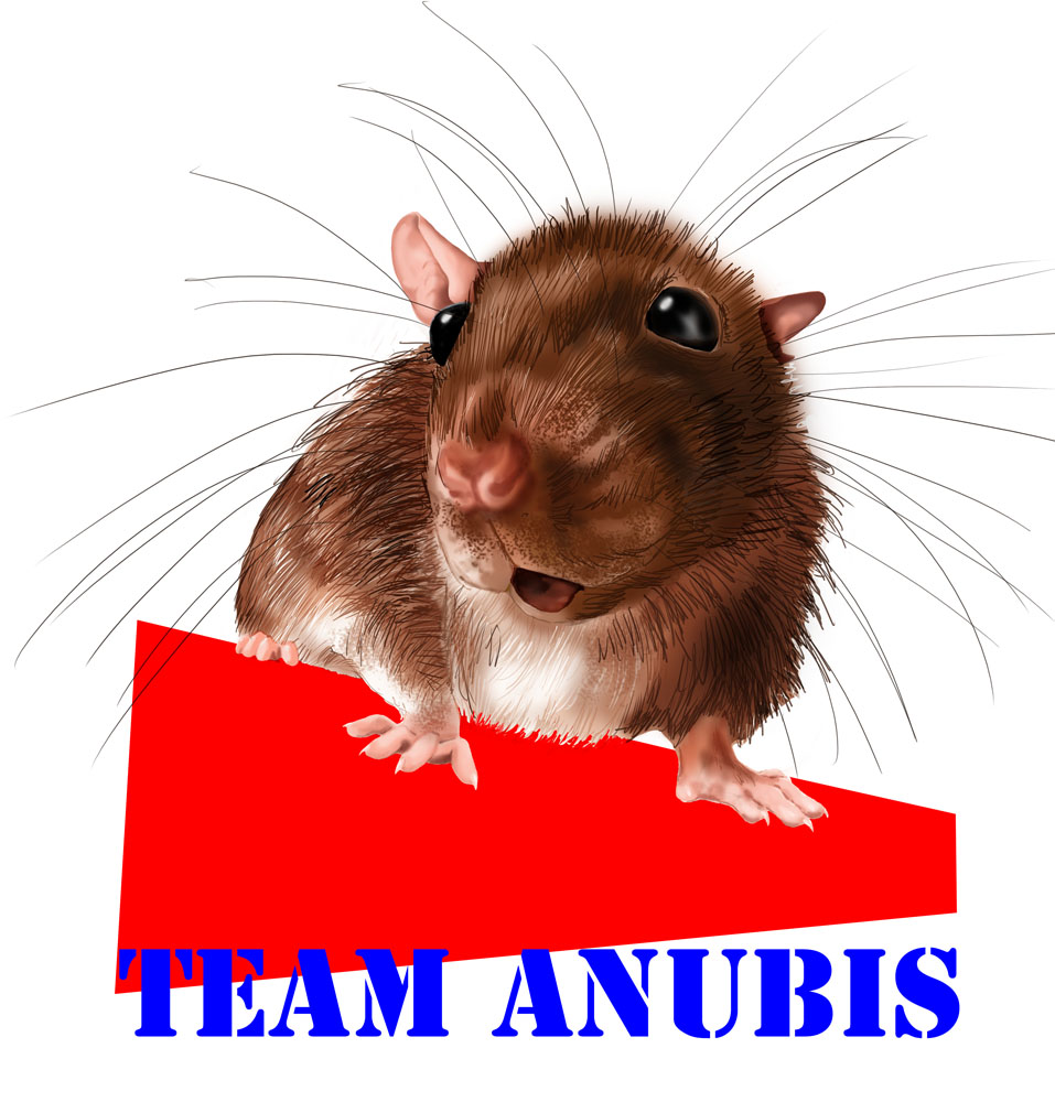 Watch How to Pamper Your Pet Rat video Watch How to Pamper Your Pet Rat video