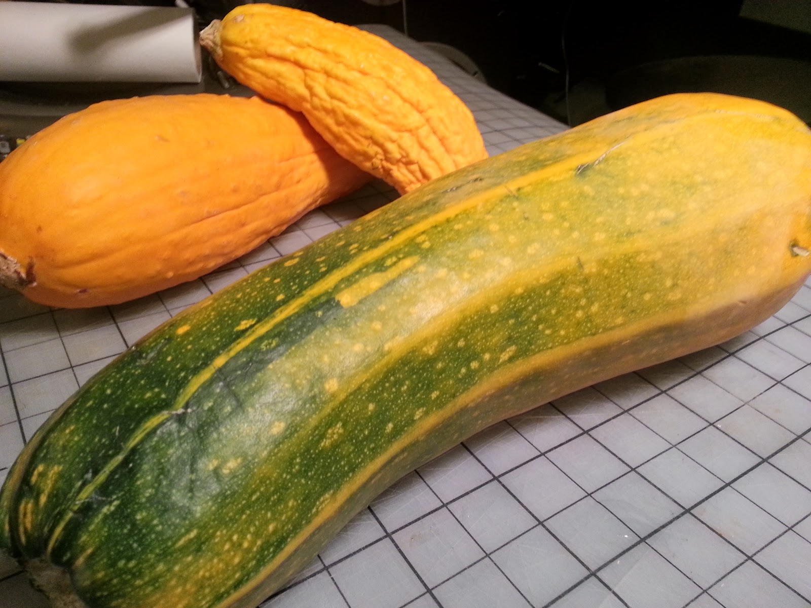HelluvaCook.com!: DYK?!? Zucchini Turns Yellow, Given Enough Time!