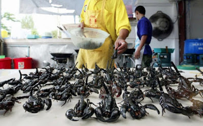 makanan dan kuliner ekstrim di China makanan dan kuliner ekstrim di China