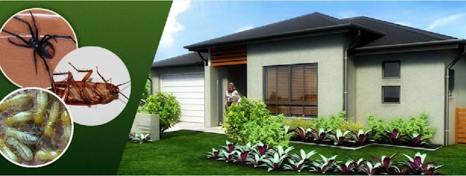 Safeguard Your Residence From Parasite; Choose Parasite Control & Also Termite Treatment From Insect Control  In Sydney