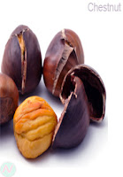 chestnut 
