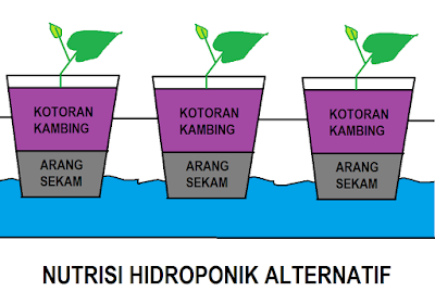 nutrisi hidroponik alternatif
