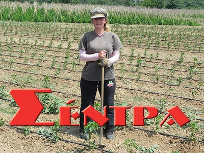 Απολυμένη υπάλληλος από την ΕΡΤ, εργάτρια στους αγρούς της Λιθιάς στην Καστοριά!!!