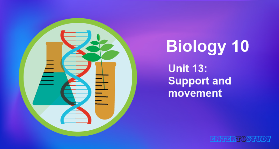 KIPS 10th Class Biology Notes Unit 13: Support and movement KIPS 10th Class Biology Notes Unit 13: Support and movement