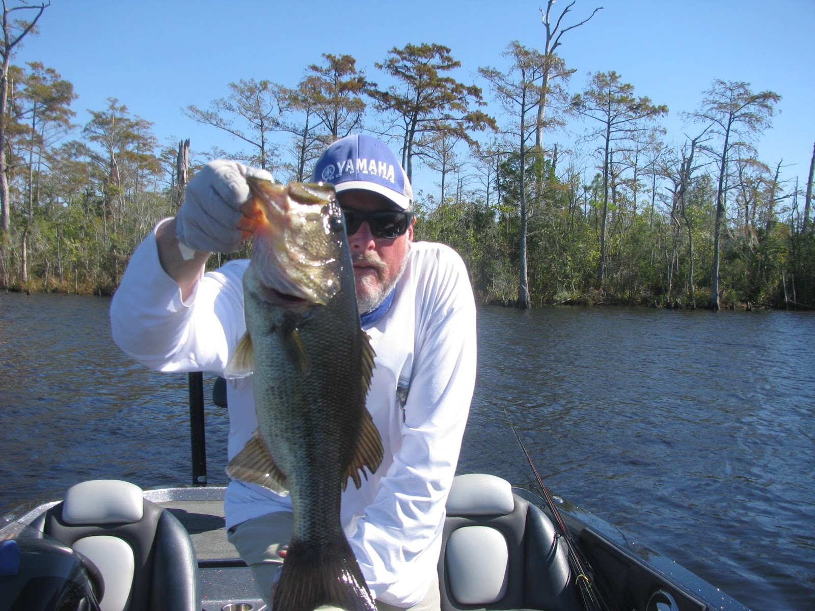 Backwateradventures Outer Banks Bass Fishing
