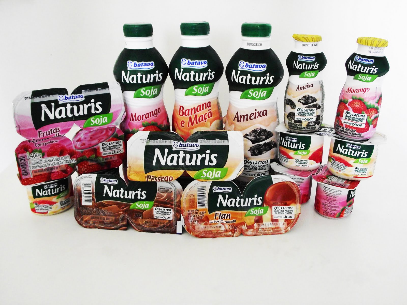 Vida sem glúten e lactose Iogurte e Flan sem lactose