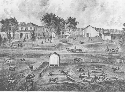 Industrial Revolution Industrial Revolution