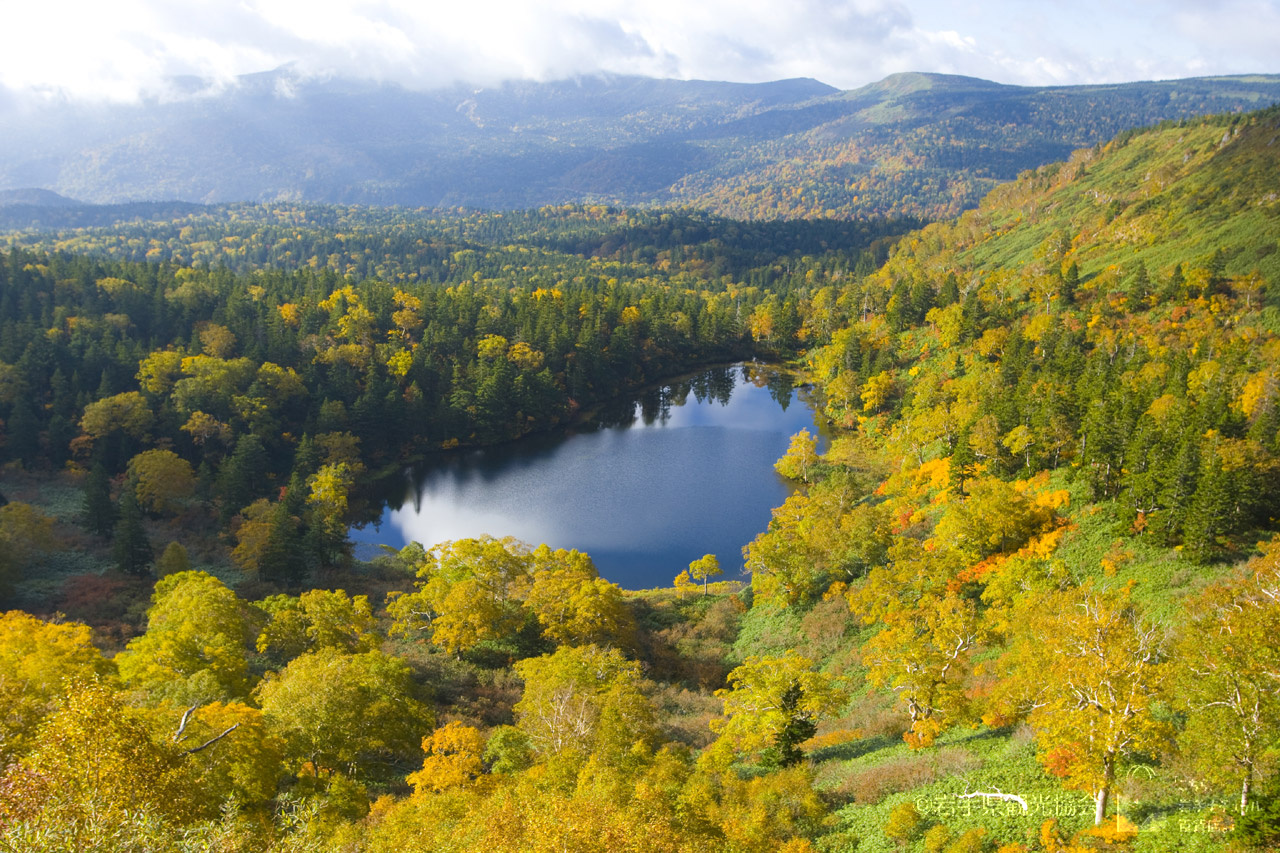 Jejeje IWATE Blog: ห้ามพลาด ! แนะนำ 6 สถานที่ชมใบไม้เปลี่ยนสีใน ...