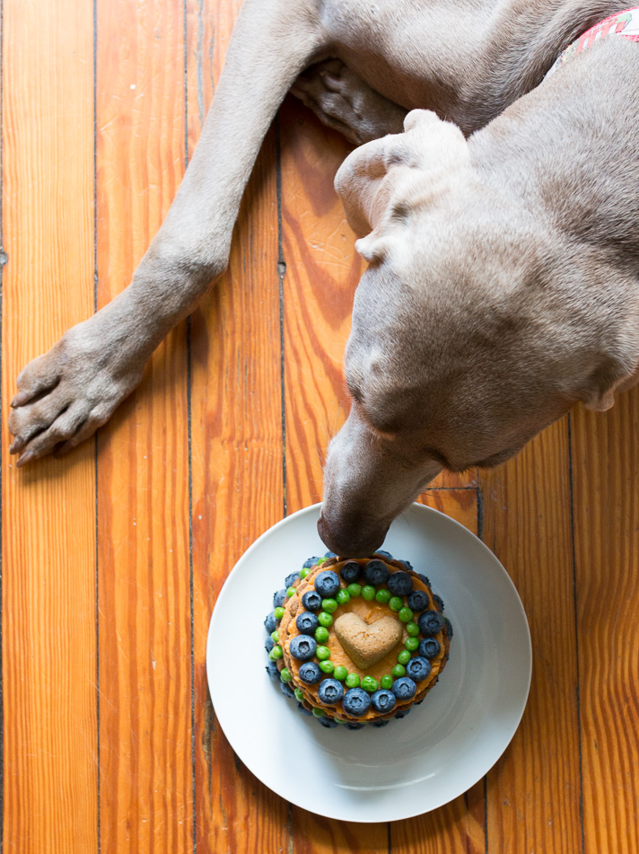 Dog Birthday Cake Recipe Meatloaf & Veggies 17 Apart