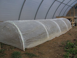 propagation greenhouse annapolis seeds