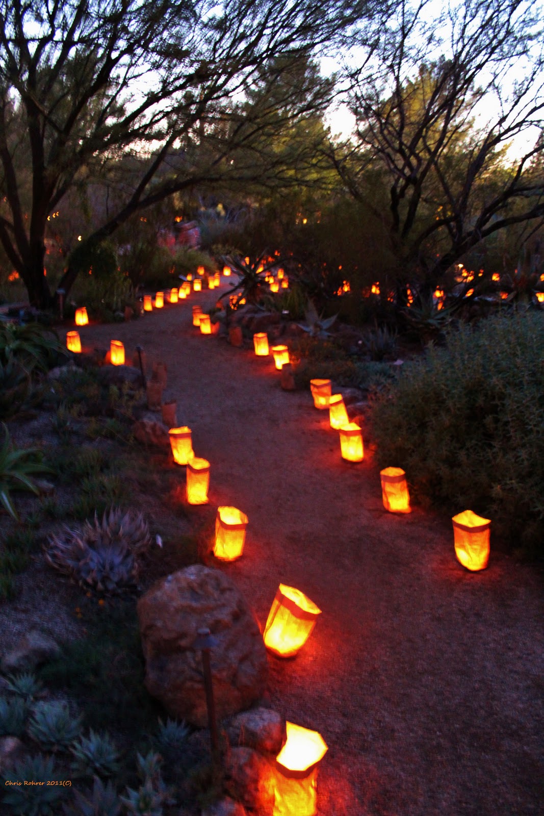 Las Aventuras The Living Christmas Tree