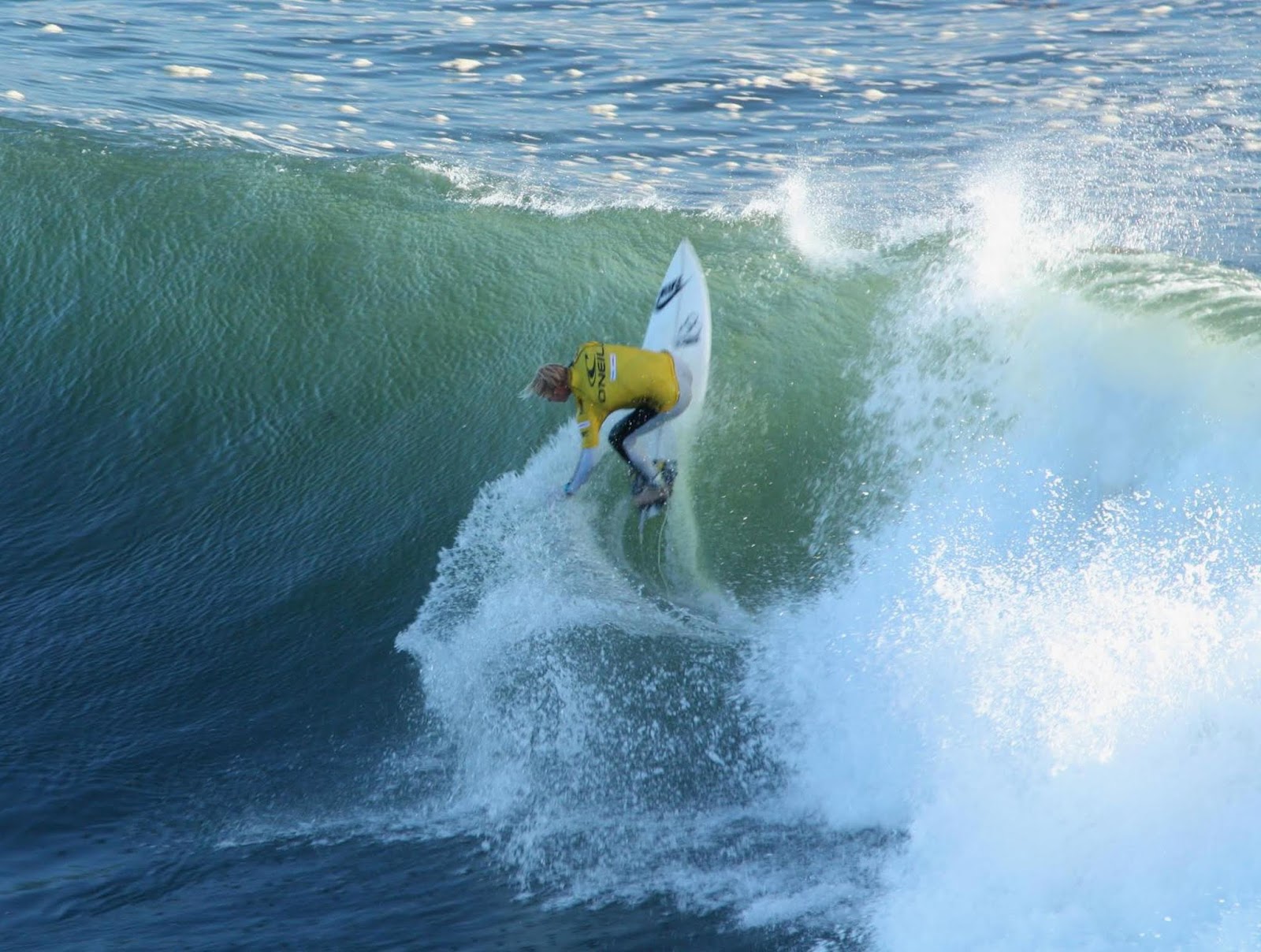 Forestdweller Steamer Lane