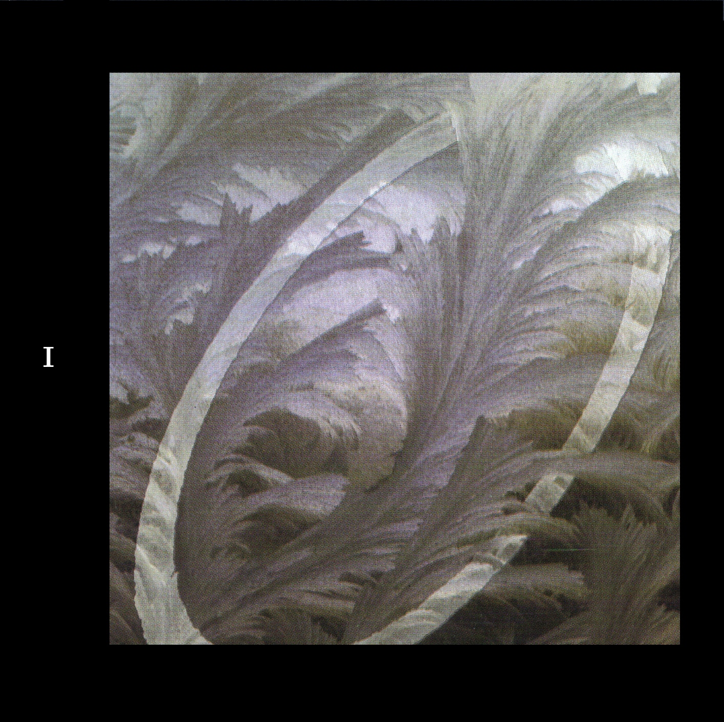 Spoonful Discos Led ZeppelinBox Set