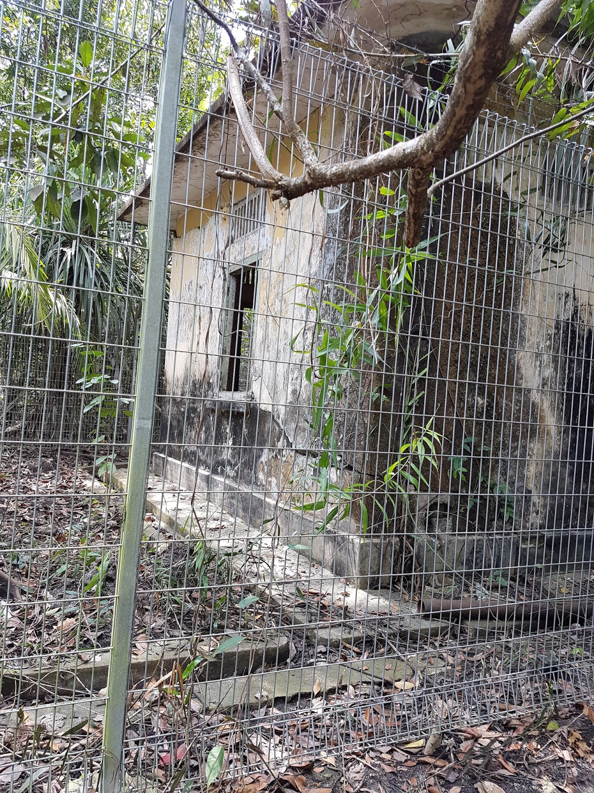 Mystery Of The Haunted House Unicorn Island