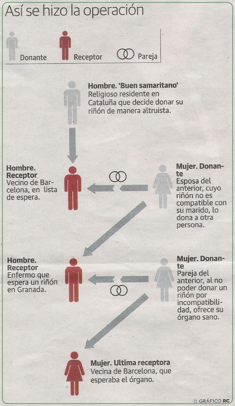 Polaris Rzr Drive Belt Chart