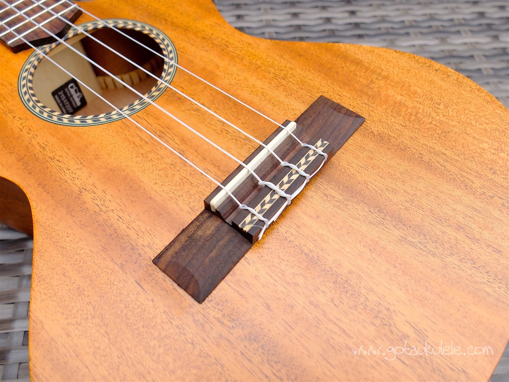 Cordoba 20TMCE Tenor Ukulele REVIEW