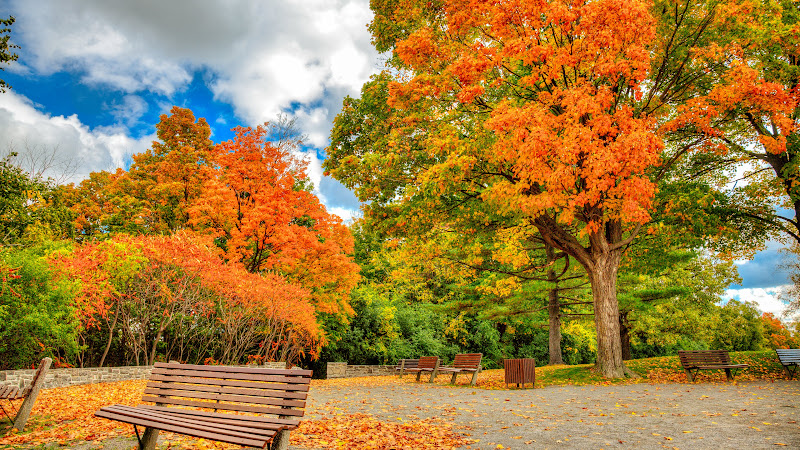 Autumn in Ottawa