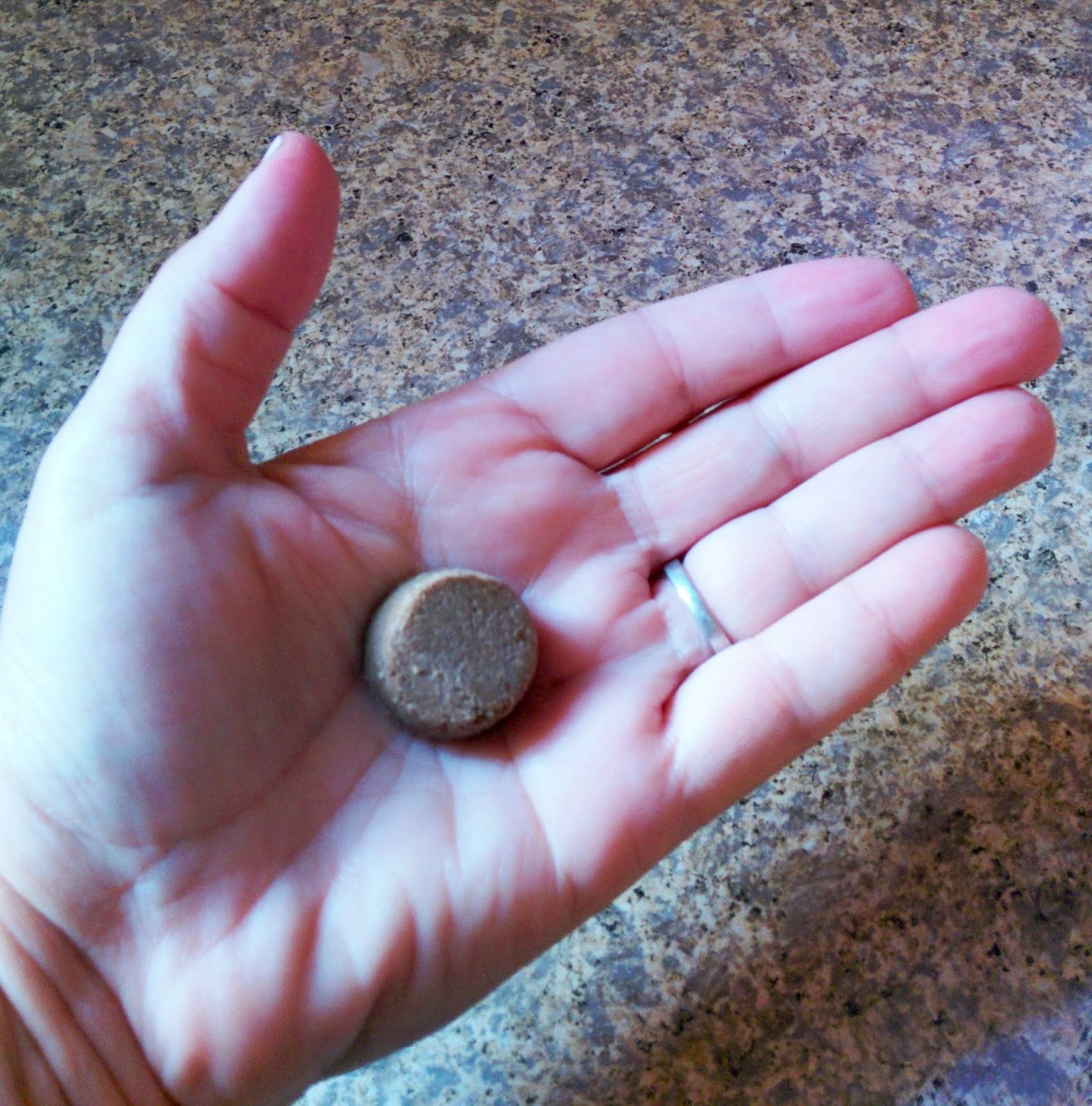 Dogs Luv Us and We Luv Them Don't Let Fleas and Ticks Feast On Your