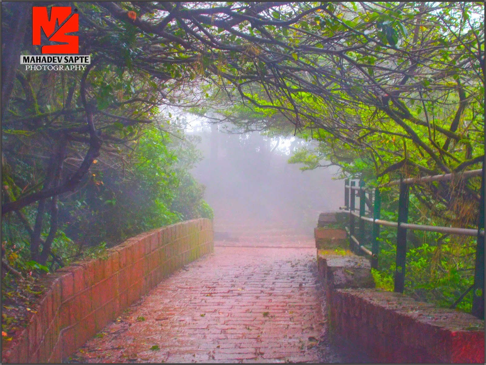 Satara Mahabaleshwar Pratapgad Thoseghar Kas Pathar & Sahyadri