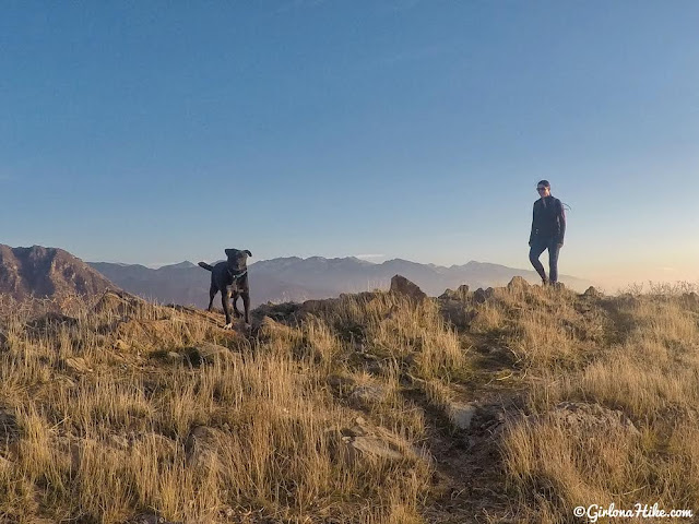 Hiking Mt. Van Cott, Hiking in Utah with Dogs