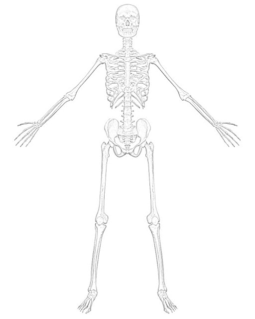 Skeleton coloring.filminspector.com