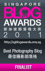 2011年，获取新加坡最佳摄影部落格十强
