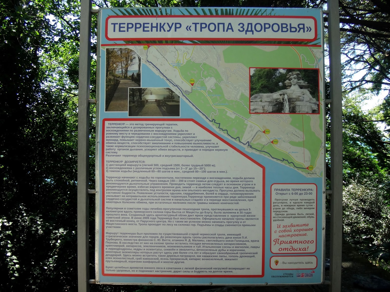 Парк терренкур сестрорецк