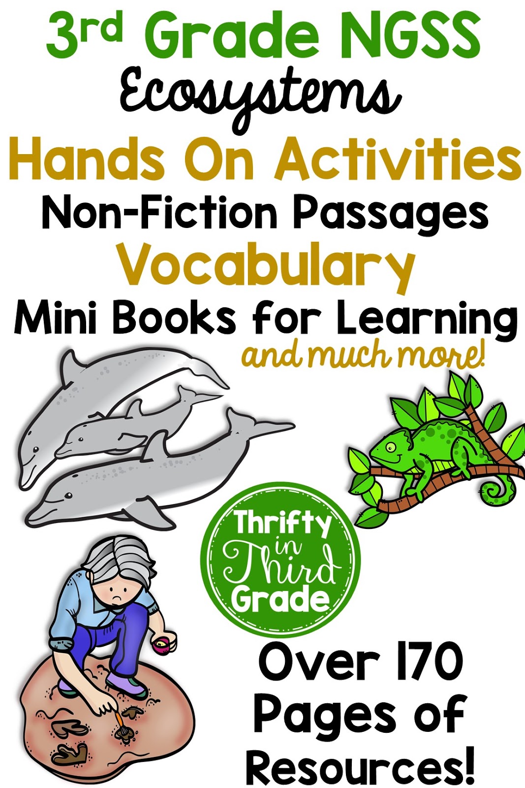 Ecosystem Activities For 3Rd Grade / Https Ie Unc Edu Wp Content