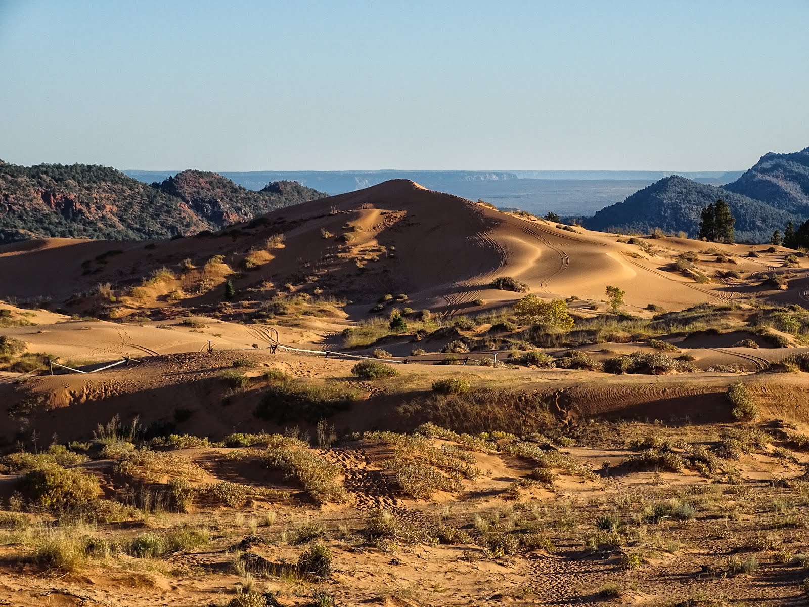 Walking Arizona First Dune in Coral Pink Sand Dunes State Park