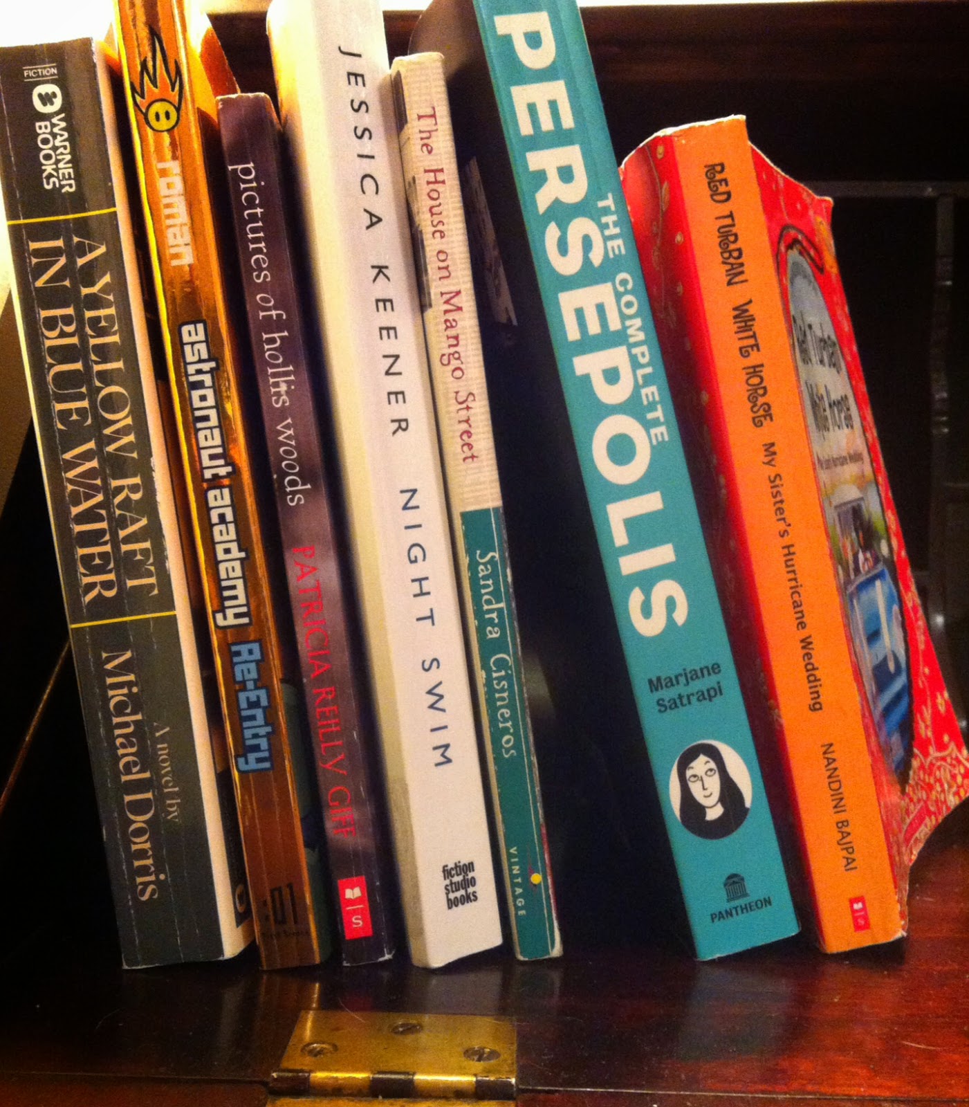 Anyway because why we need diverse books