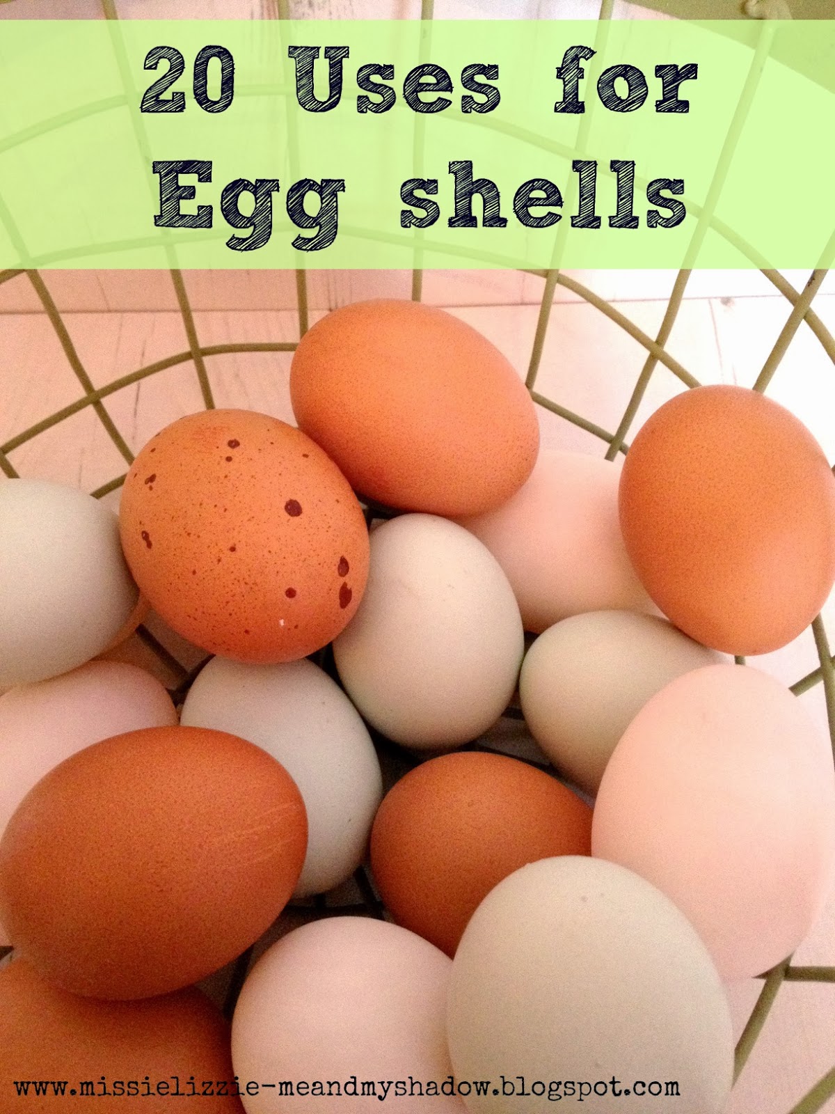 20 alternative uses for egg shells