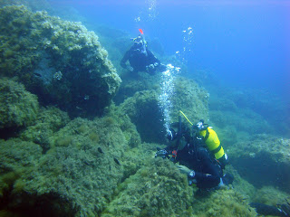 Scuba Plus buceo en Menorca - El dique 1