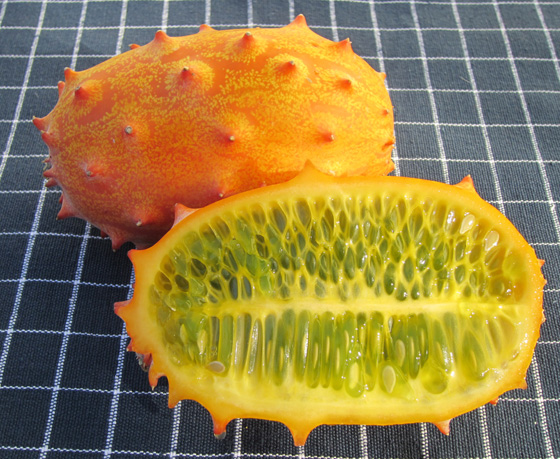 Asian horn melon Film sex asian