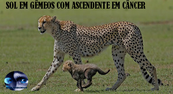 Sol y ascendente en cancer