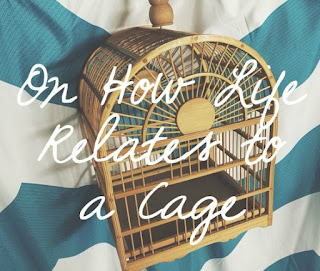 Water & Pen || On How Life Relates to a Cage Water & Pen || On How Life Relates to a Cage