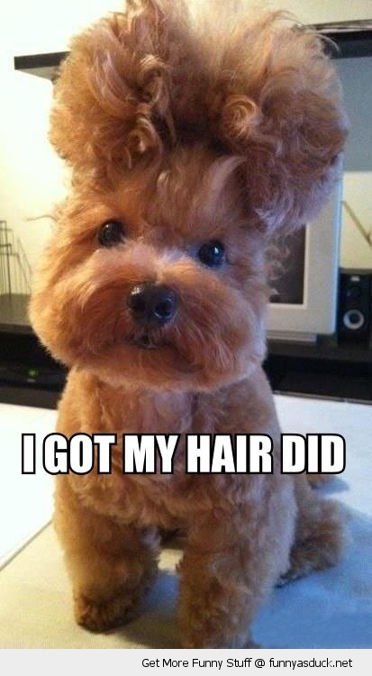 Funny Hair Memes Meme Baby