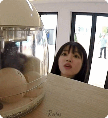 식량일기 양갈래 아닌 오마이걸 유아.gif | 인스티즈