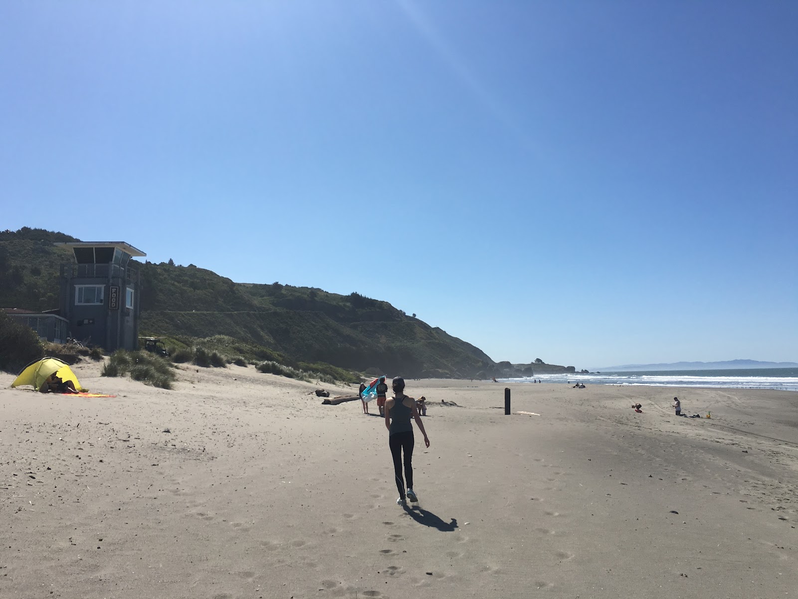 Pantoll to Stinson Beach Loop Via Matt Davis, Dipsea, and Steep Ravine