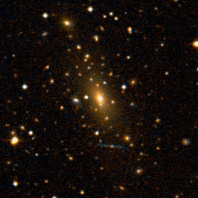 IC 1101