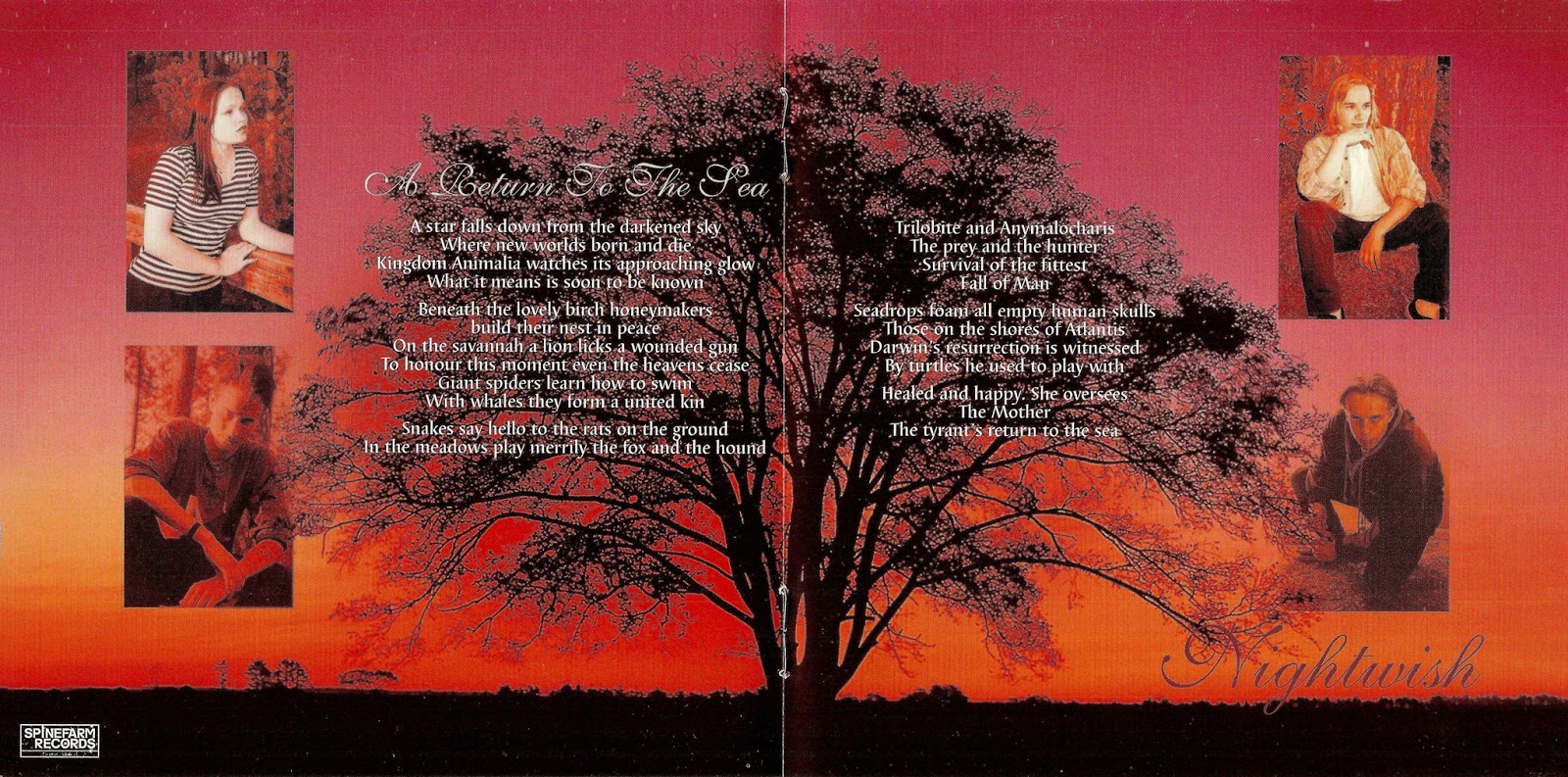 Fall out фразовый глагол. фразовый глагол fall. перевод fell first. 3 формы глагола в английском. стихотворения на англ об осени.