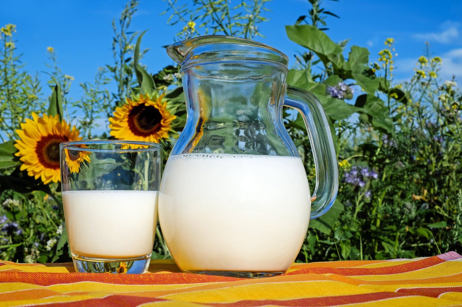 10 Foods That Help You to Concentrate Better and Their Benefits - Whey Protein 10 Foods That Help You to Concentrate Better and Their Benefits - Whey Protein