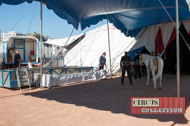 les premiers chevaux arrivent au chapiteau