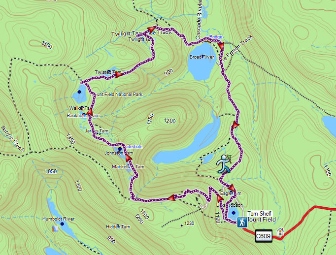 Tarn Shelf Hiking South East Tasmania