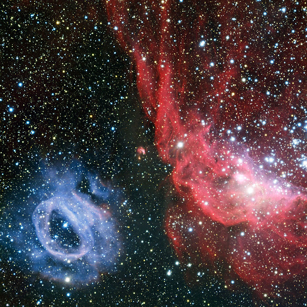  Nebulae NGC 2014 and NGC 2020