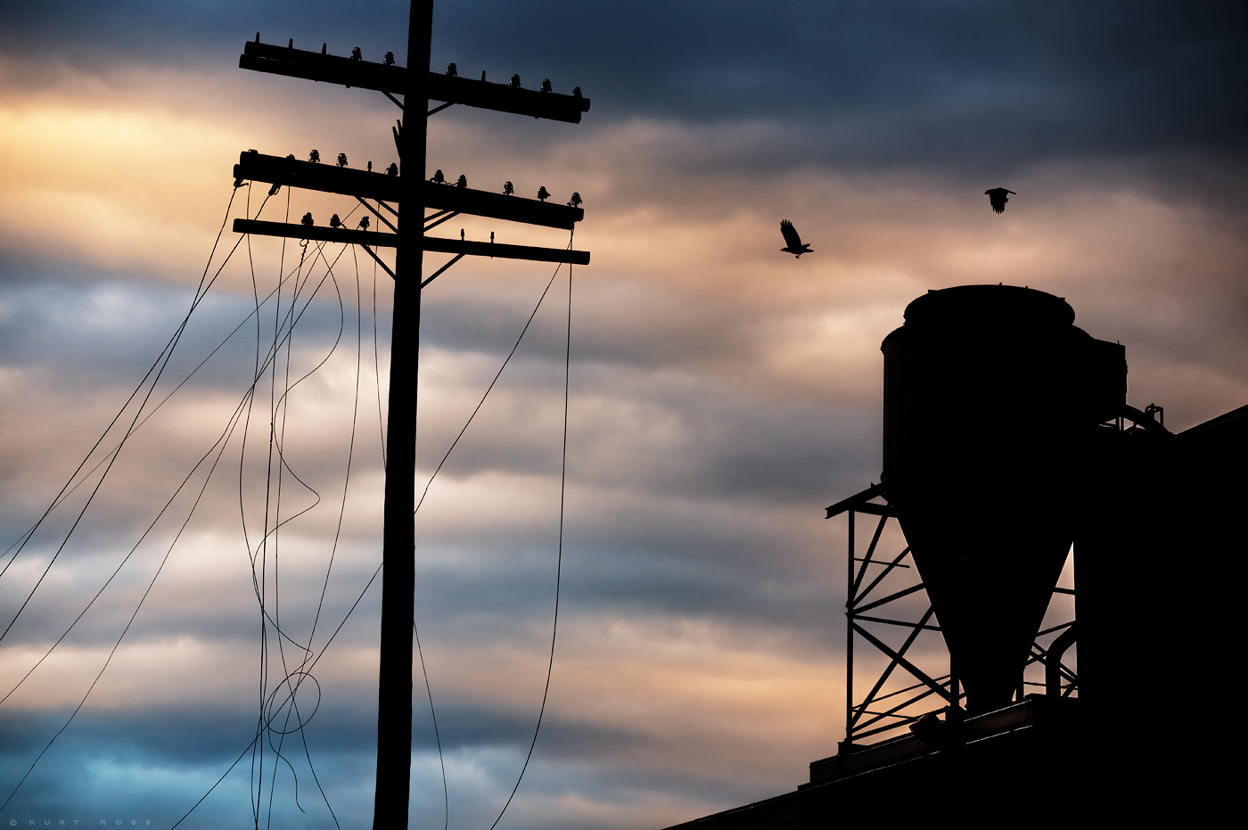 POWER Lines Kurt Ross