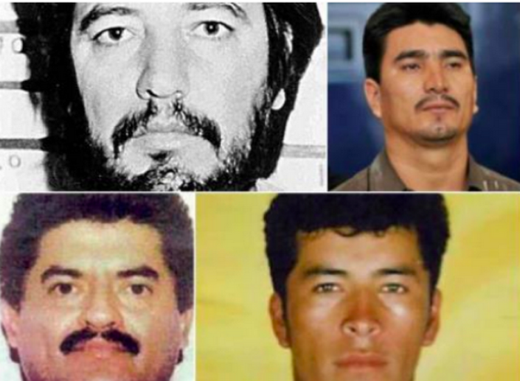 Esto son los capos que mejor prefirieron una tumba en Mexico que en una
